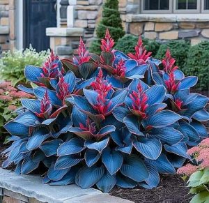 Хоста Грин Фог купить по цене от 669р. в интернет-магазине «Посадика» с доставкой почтой в в Нефтеюганске и по всей России – [изображение №1].